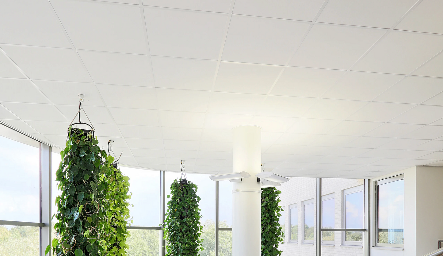 Armstrong Perla OP dB Lay In Tiles 1200 x 600 x 40mm