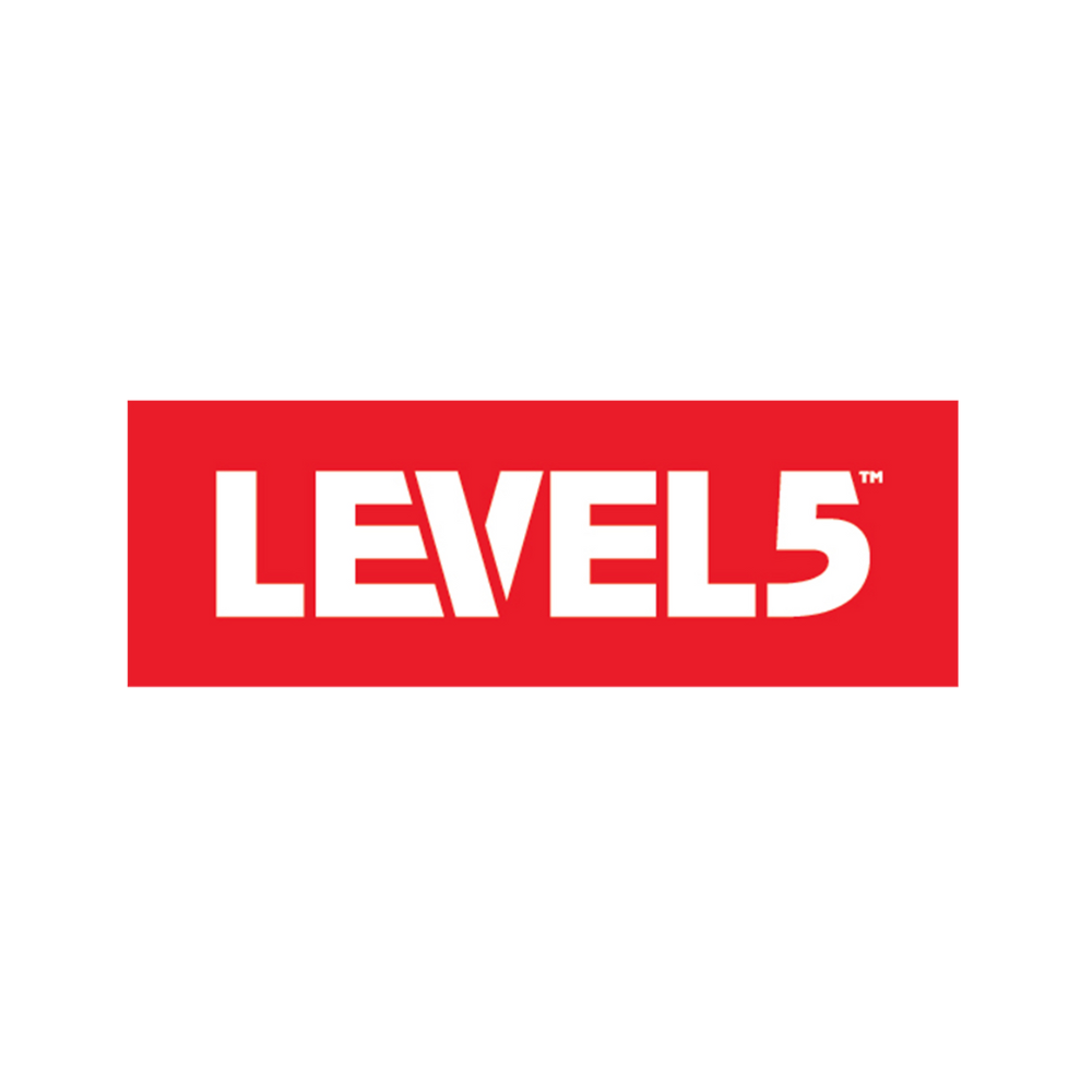 Level 5